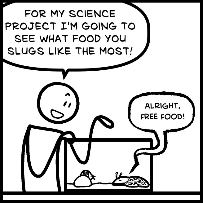 Slug Won’t Do Fast